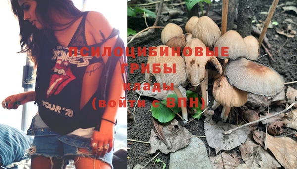 а пвп мука Дмитров