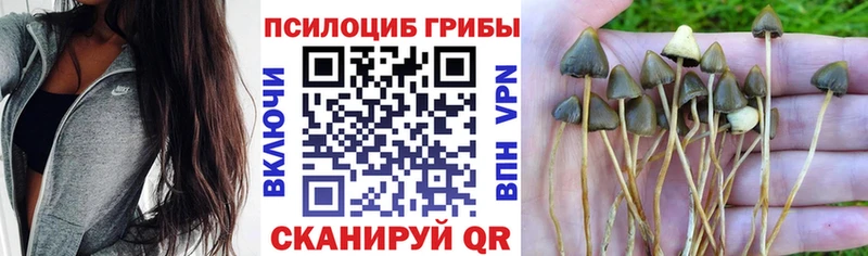 Галлюциногенные грибы мицелий Сасово